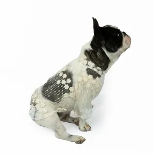 Embroidered Lace Dog Top