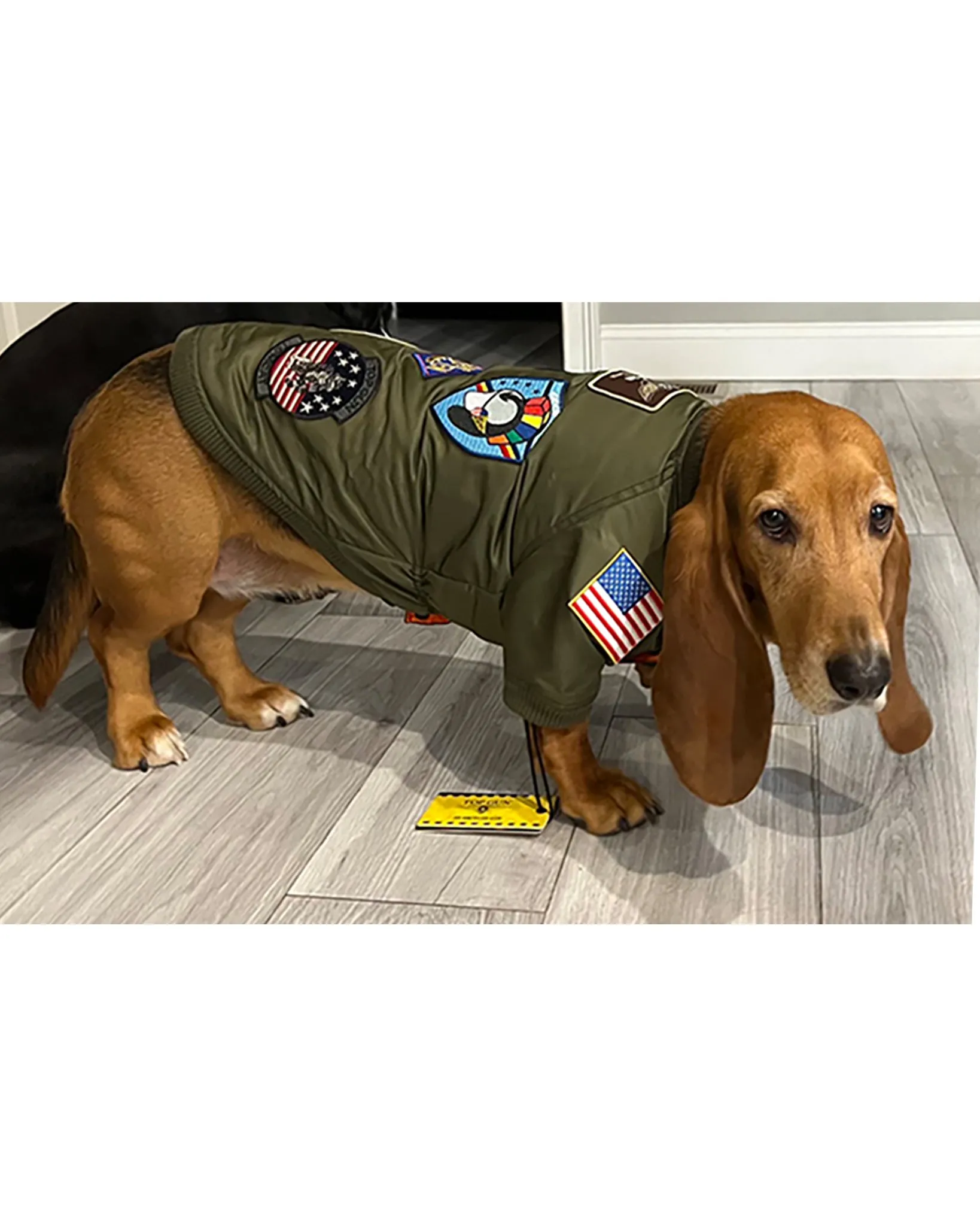 TOP GUN® DOG BOMBER JACKET