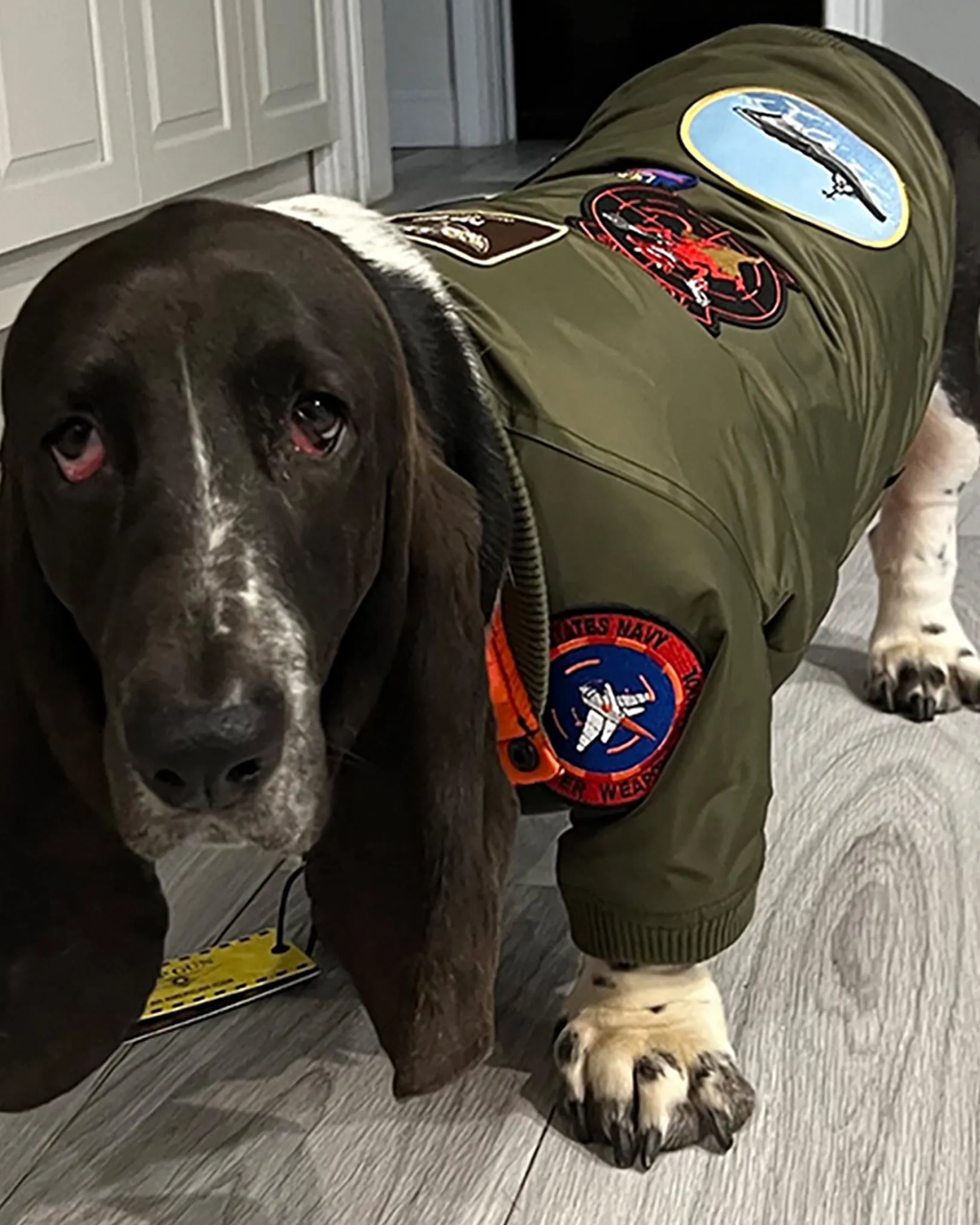 TOP GUN® DOG BOMBER JACKET